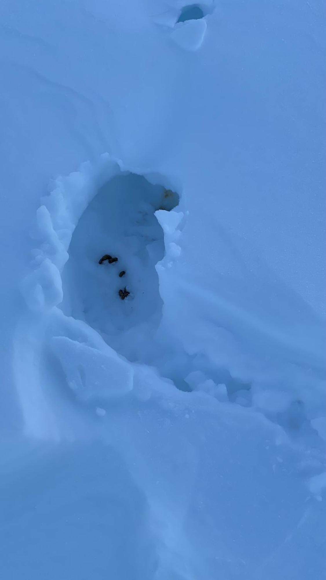 Вилла Bjerkely, Sjusjoen Экстерьер фото